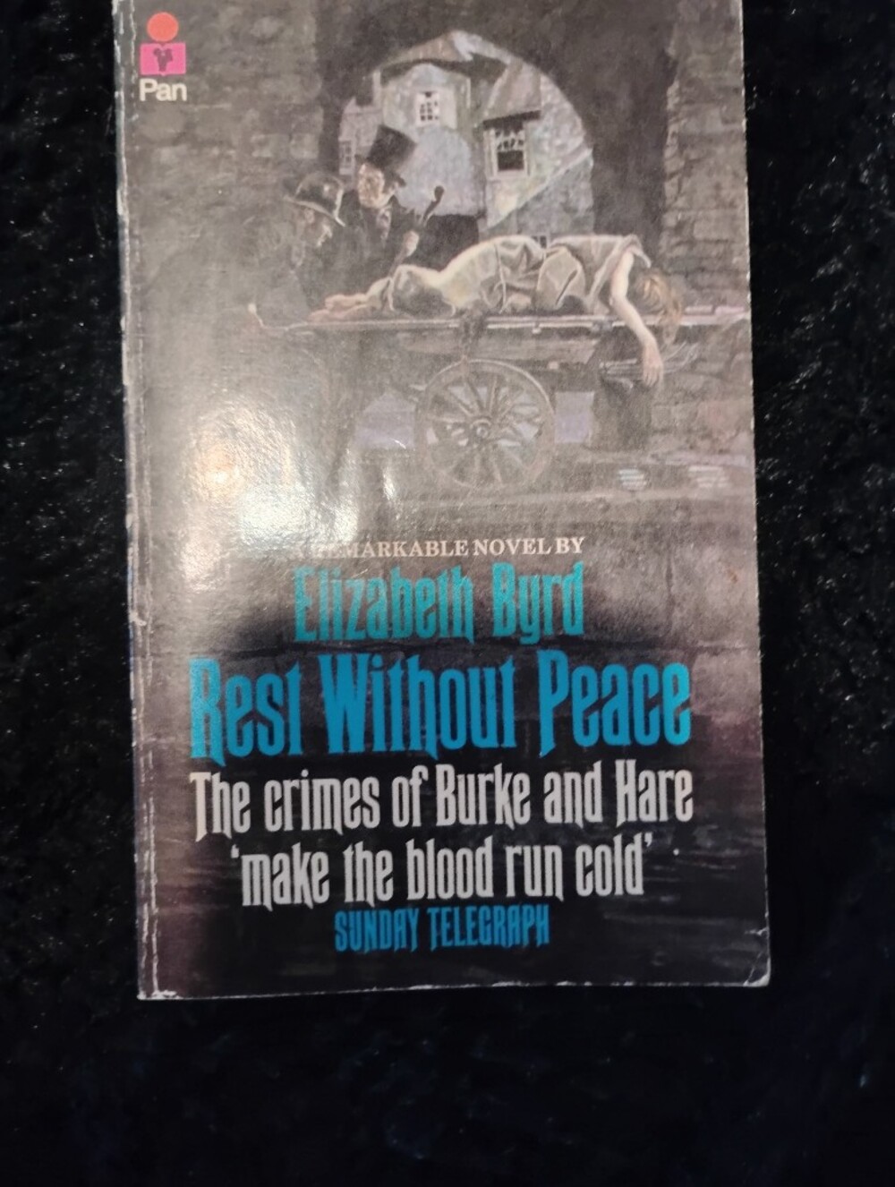 Best Without Peace by Elizabeth Ogil - Blue & Black Paperback